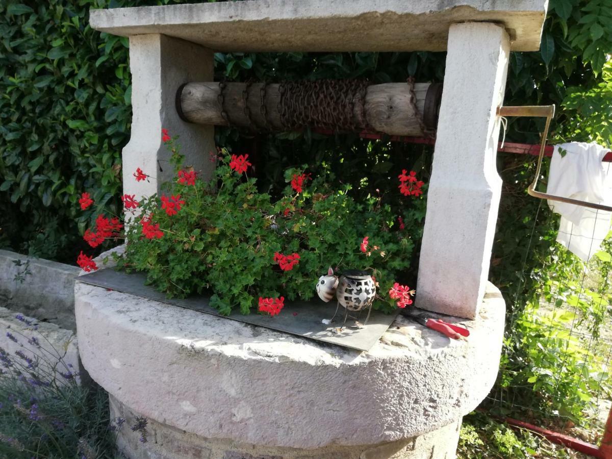 La Maison Du Bonheur Saint-Martin-en-Bresse Buitenkant foto