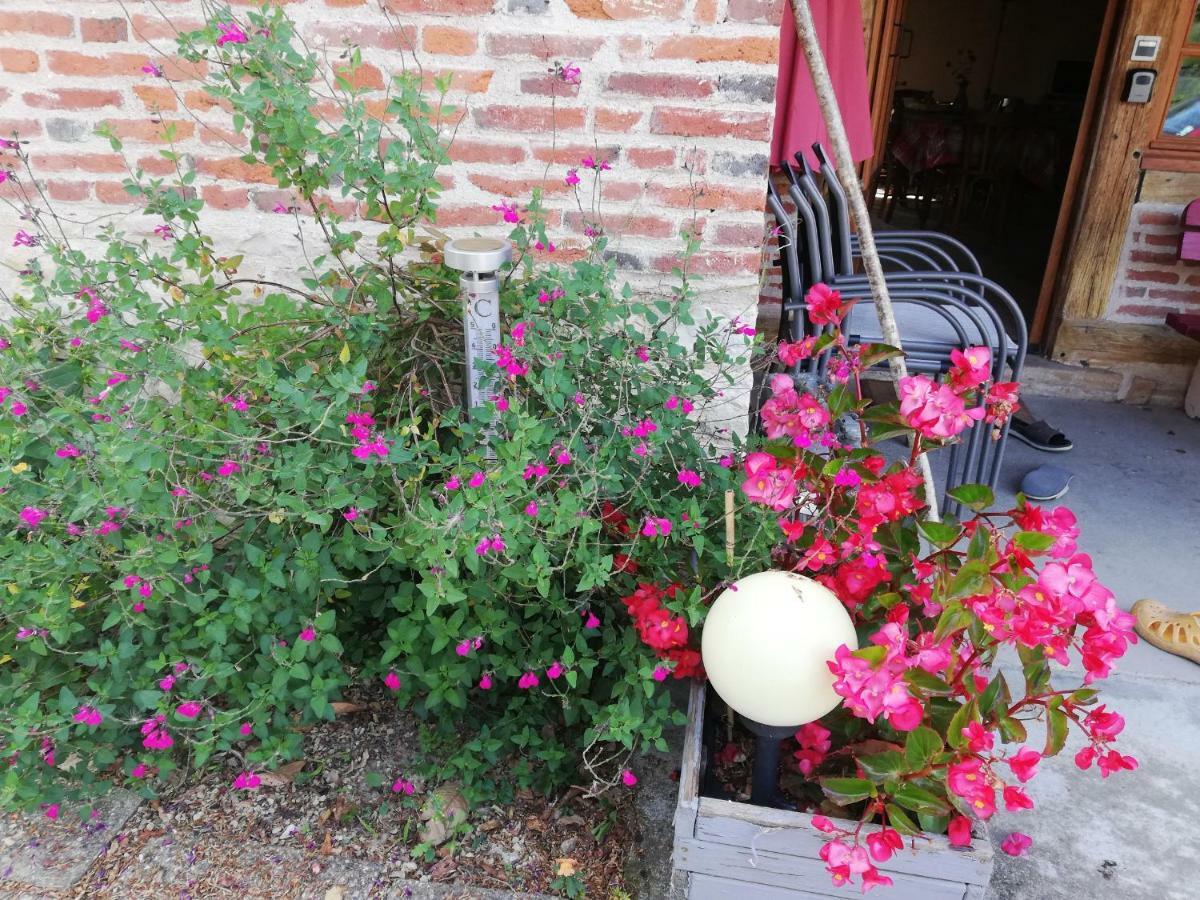 La Maison Du Bonheur Saint-Martin-en-Bresse Buitenkant foto